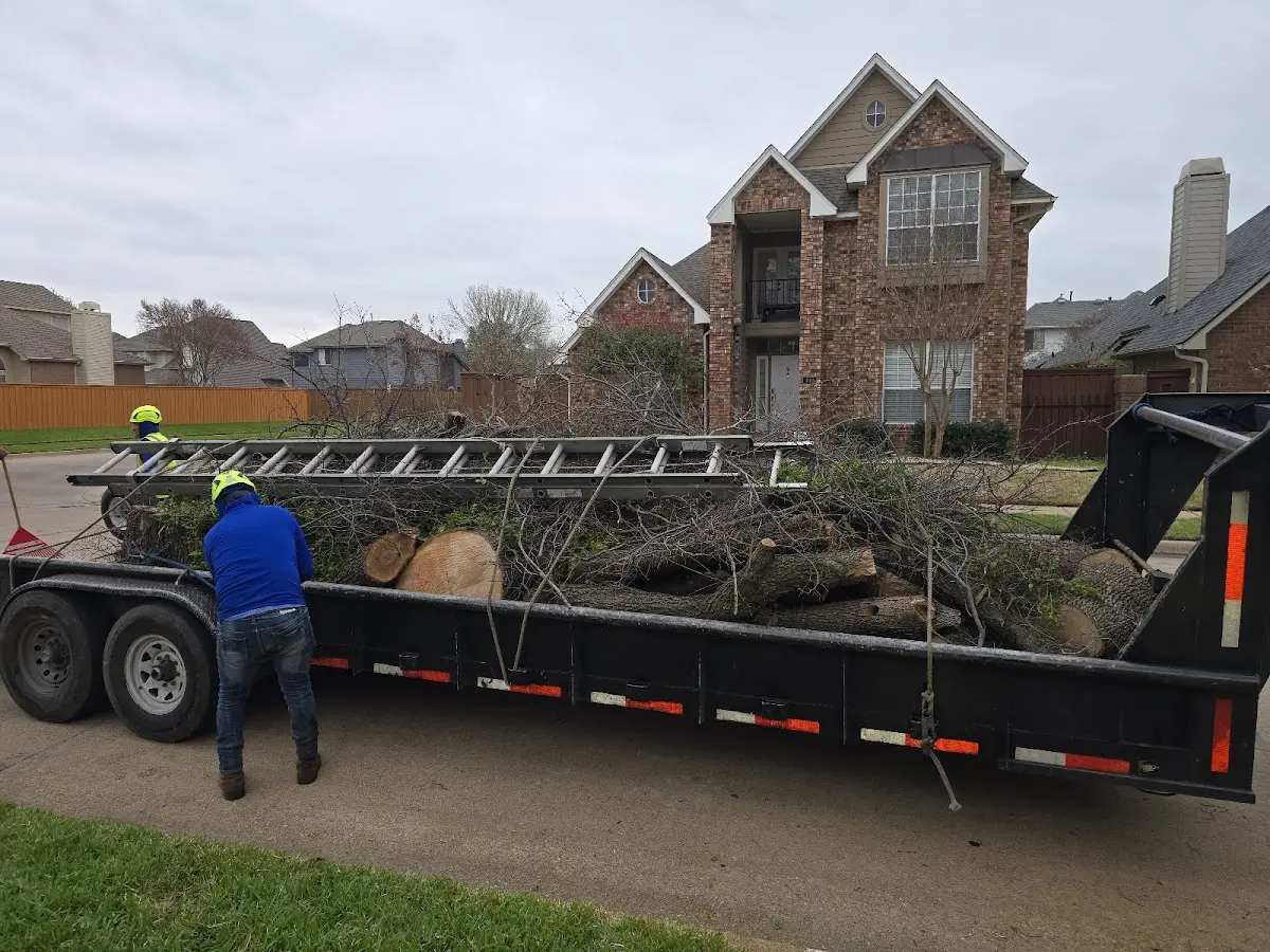 Expert Tree Removal with proper safety equipment in Bronson